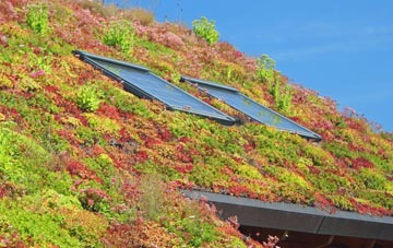 Tadley living roof systems
